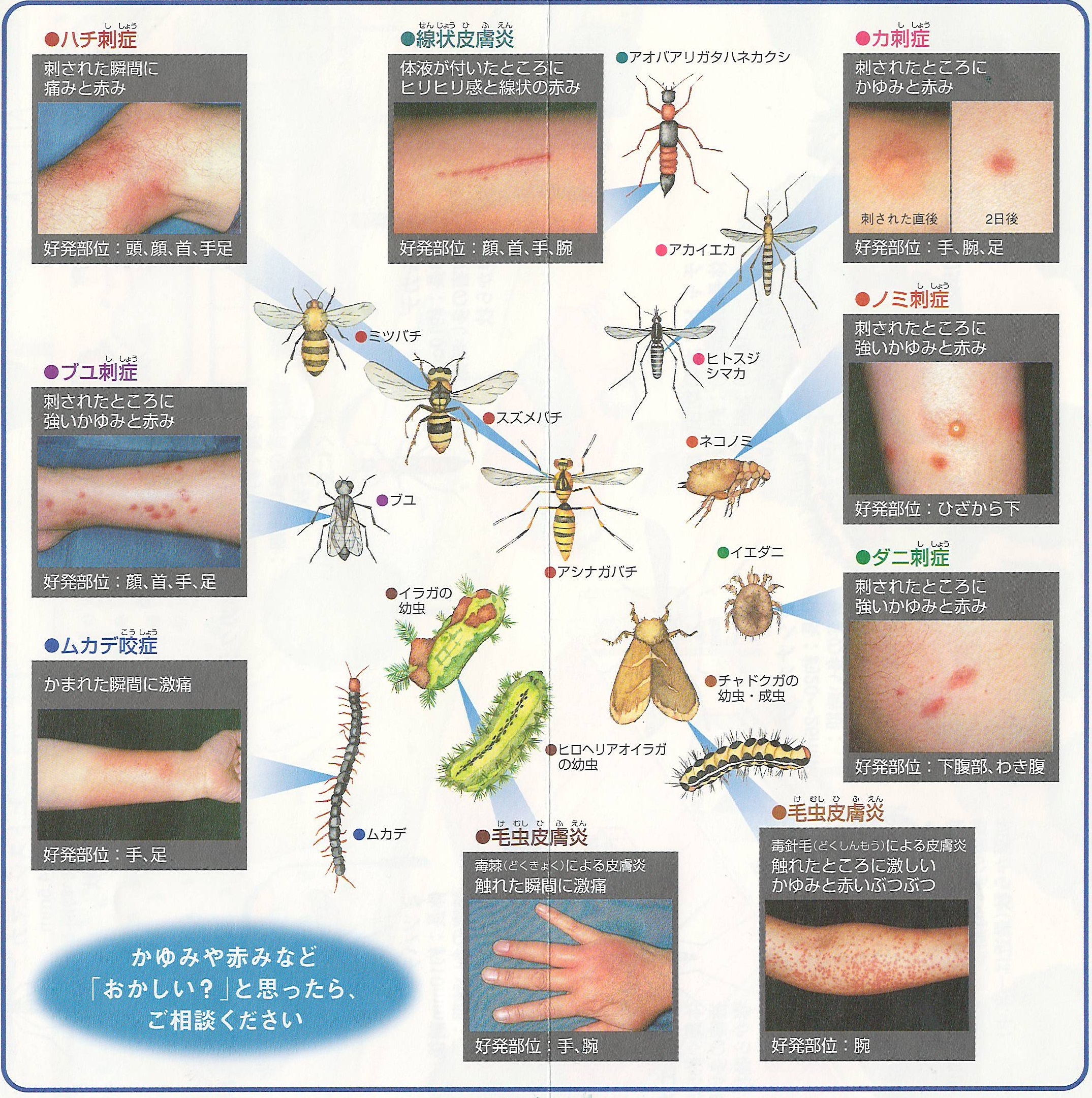 GSK提供パンフレット